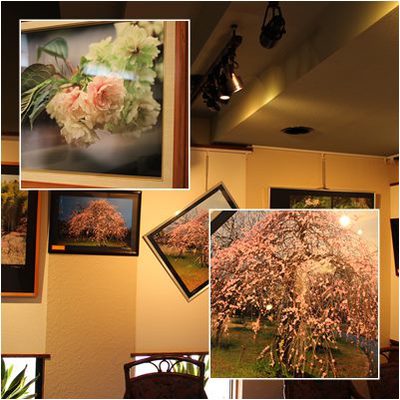 政木さん写真展始りました 政木さん写真展始りました