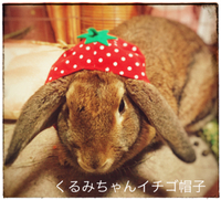イチゴ帽子のくるみちゃん