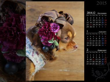 壁紙カレンダー2015年1月　無料　花　犬　ペット