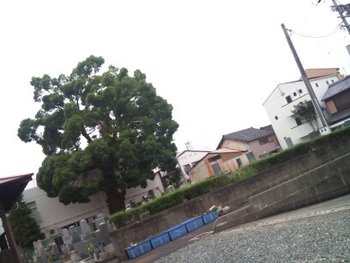 ☆カフェと8回目の夏