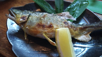 ☆バーテンダーと行った、蒲郡グルメ紀行☆