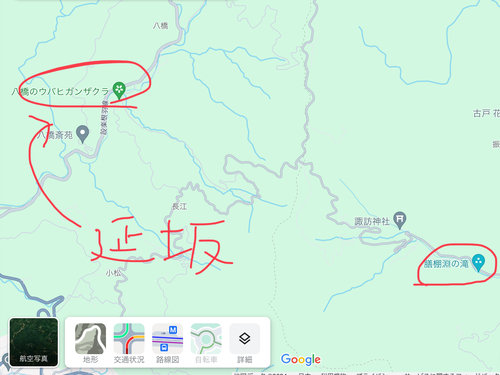 沢の下見というか・・・20240626(水)その2 沢の下見というか・・・20240626(水)その2