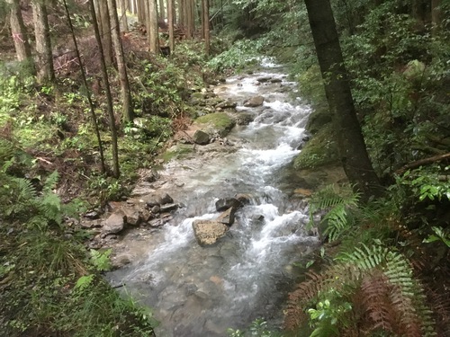 ちょっこし覗いて来ました\(^o^)/ ちょっこし覗いて来ました\(^o^)/