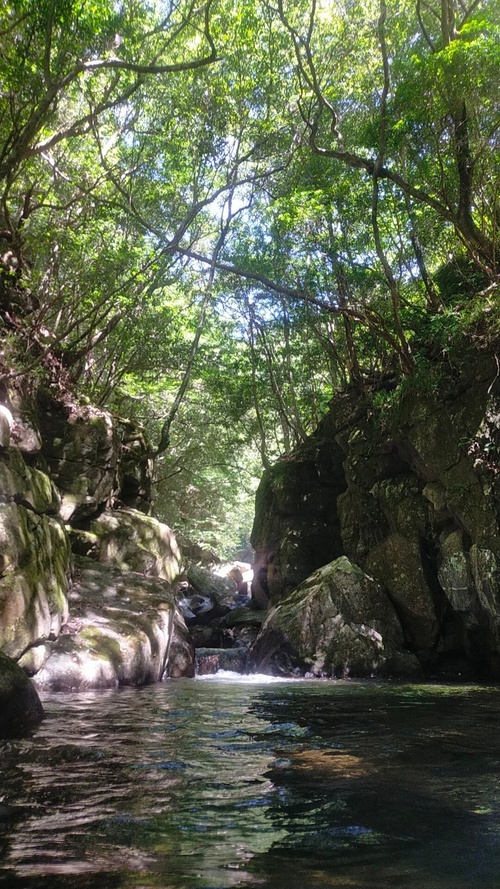 沢登り 栗島川 20210808 #14 その1 沢登り 栗島川 20210808 #14 その1