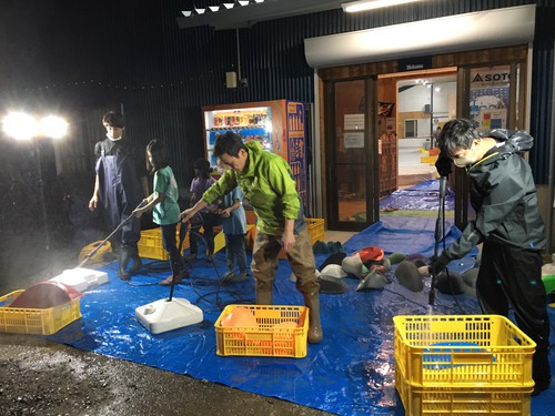 順調に進んでいるようです 順調に進んでいるようです