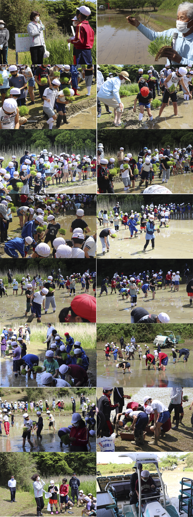 童浦小学校　田植え