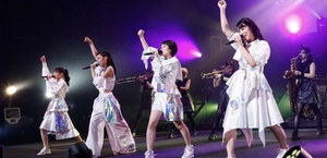 TEAM SHACHIの連帯感 TEAM SHACHIの連帯感