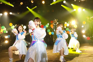 TEAM SHACHI ライブレポート TEAM SHACHI ライブレポート