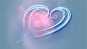 神が人を愛した理由 神が人を愛した理由