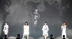 TEAM SHACHIの前向きな思い TEAM SHACHIの前向きな思い