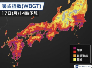 浜松市で史上最高気温観測 浜松市で史上最高気温観測