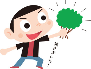 ツツジ抜き