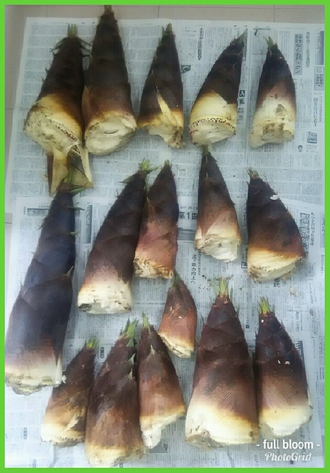 来た来た~待ってました♡ 来た来た~待ってました♡
