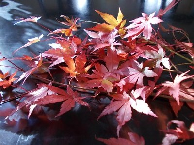 あしらいもの…