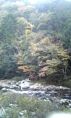紅葉のラストチャンスです。