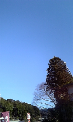 きたきた~~!!+-0℃!