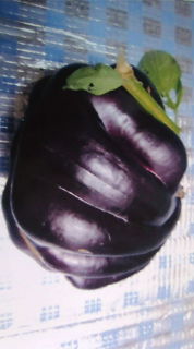 変形野菜パート2