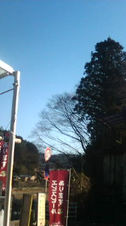 澄み切った青空と(◇)ゞ