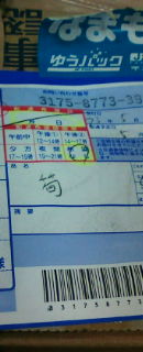 筍…届きました。