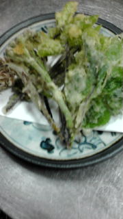 山菜天ぷら♪なう☆