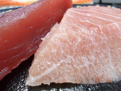 マグロで勉強。