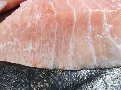 マグロで勉強。