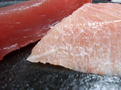 マグロで勉強。