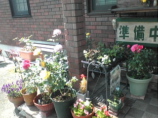 結婚記念日の朝♪