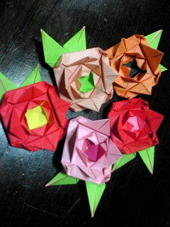 花の移り変わり♪