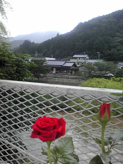 ありふれた風景☆