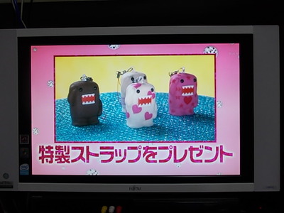 出ましたね〜!!