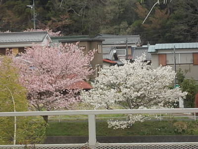 東栄ラブストーリー????????