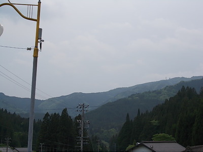 茶臼山芝桜情報