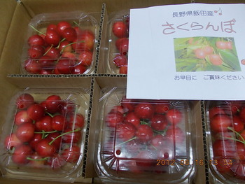 初夏の宝石???