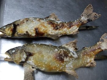 自然の恵み