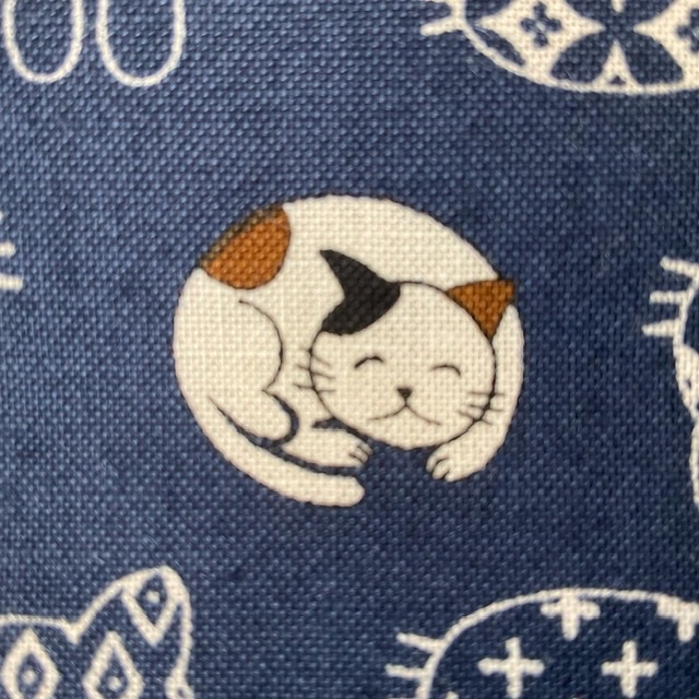 やっぱり生ネコが一番⁉︎・・♪》 やっぱり生ネコが一番⁉︎・・♪》