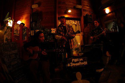 Pigs in a straw house Live!!!!!!!!