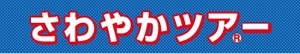 静岡市内各地発、S席、第19回豊橋市炎の祭典 静岡市内各地発、S席、第19回豊橋市炎の祭典