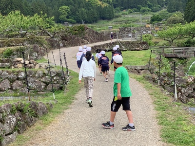 四谷の千枚田 おまけ 四谷の千枚田 おまけ