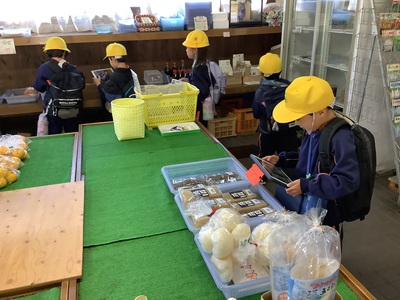 荷互奈とヤギの見学をしたよ 荷互奈とヤギの見学をしたよ
