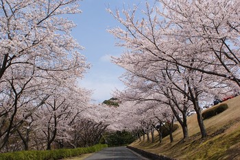 順番