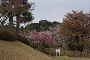 順番