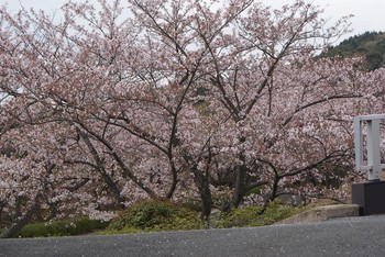 順番