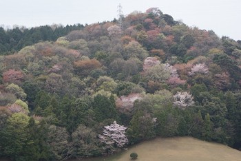 順番