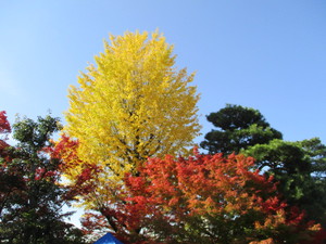 そうだ！京都へ行こう～　１