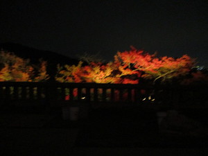 そうだ！京都へ行こう～　１