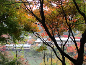 京都の旅　４