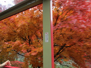 京都の旅　４