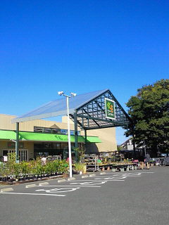ありがとうございます♪