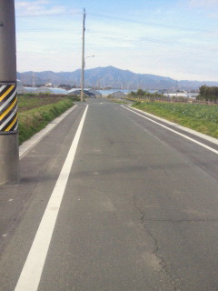 春をお届け~Part2~♪